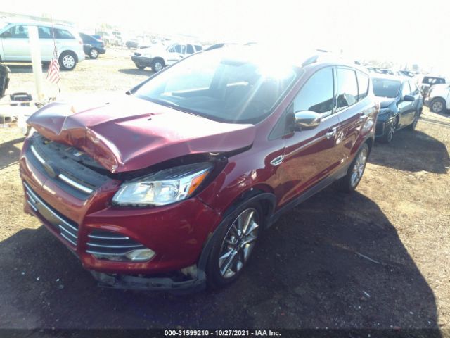 Photo 1 VIN: 1FMCU0G90EUD80832 - FORD ESCAPE 