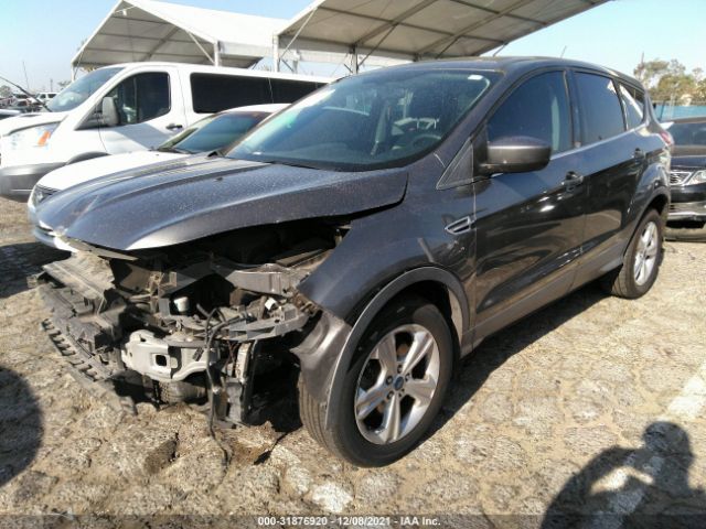 Photo 1 VIN: 1FMCU0G91DUD24106 - FORD ESCAPE 