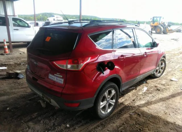 Photo 3 VIN: 1FMCU0G91EUB00254 - FORD ESCAPE 