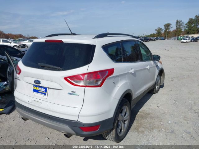 Photo 3 VIN: 1FMCU0G91EUB29186 - FORD ESCAPE 