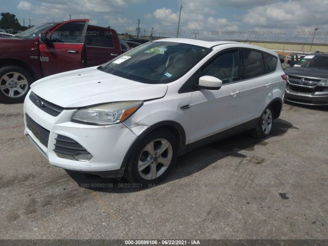 Photo 1 VIN: 1FMCU0G91EUB85371 - FORD ESCAPE 