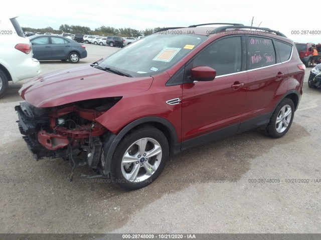 Photo 1 VIN: 1FMCU0G91EUC92212 - FORD ESCAPE 