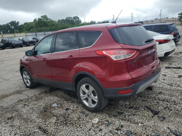 Photo 1 VIN: 1FMCU0G91EUD79222 - FORD ESCAPE SE 