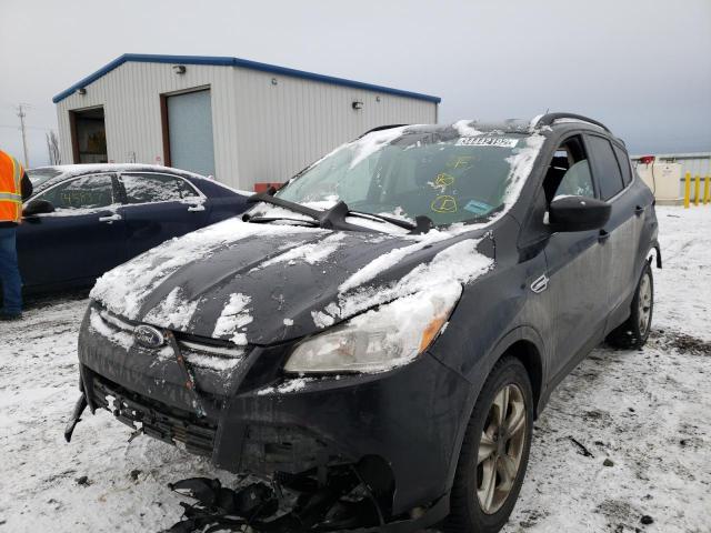 Photo 1 VIN: 1FMCU0G91EUE06810 - FORD ESCAPE SE 