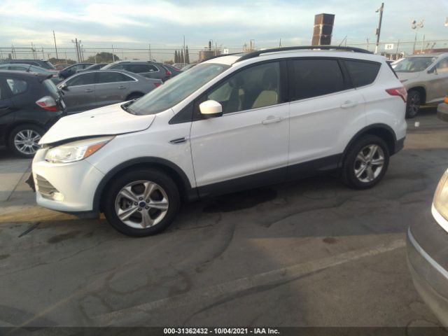 Photo 1 VIN: 1FMCU0G91EUE57319 - FORD ESCAPE 