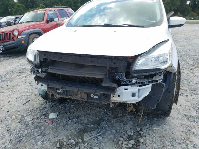 Photo 8 VIN: 1FMCU0G91GUB61767 - FORD ESCAPE 