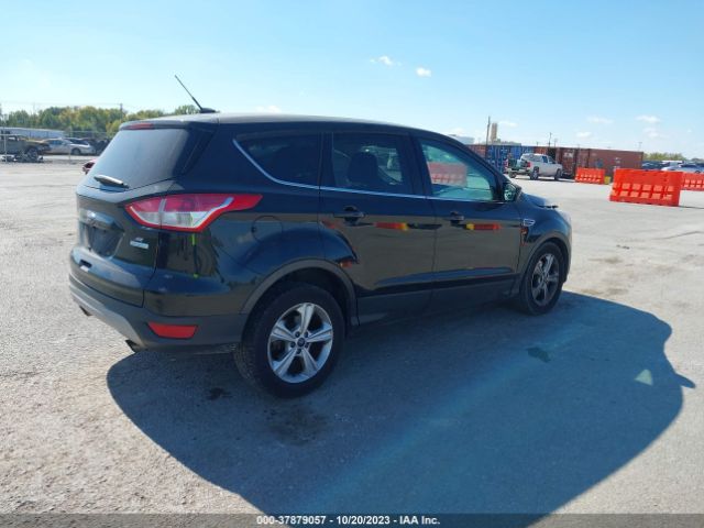 Photo 3 VIN: 1FMCU0G92EUA30859 - FORD ESCAPE 