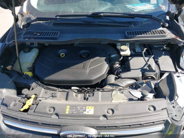 Photo 9 VIN: 1FMCU0G92EUA30859 - FORD ESCAPE 