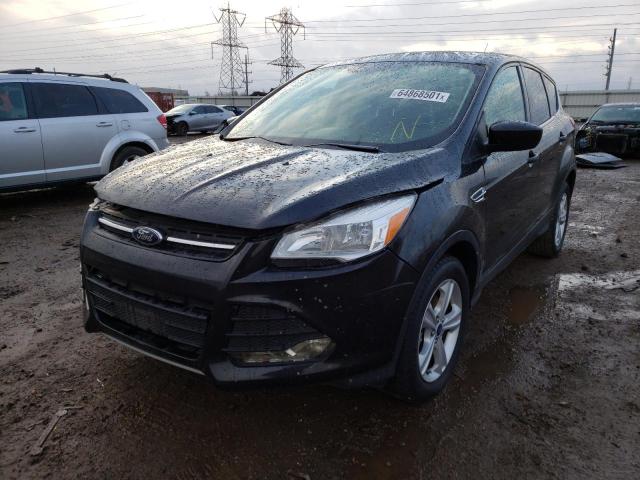 Photo 1 VIN: 1FMCU0G92EUA65563 - FORD ESCAPE SE 