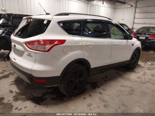 Photo 3 VIN: 1FMCU0G92EUC31578 - FORD ESCAPE 