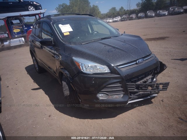 Photo 0 VIN: 1FMCU0G92EUE09179 - FORD ESCAPE 