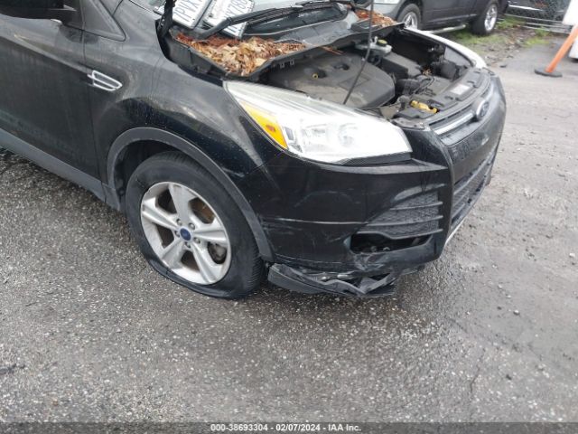 Photo 5 VIN: 1FMCU0G92GUC13102 - FORD ESCAPE 