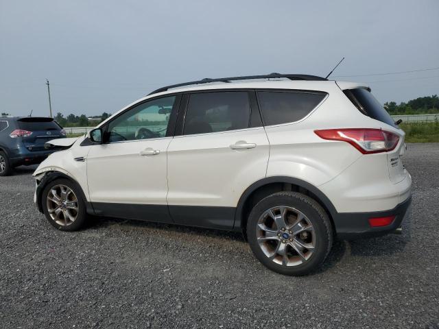 Photo 1 VIN: 1FMCU0G93DUA08142 - FORD ESCAPE 