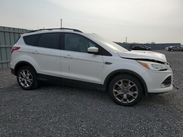 Photo 3 VIN: 1FMCU0G93DUA08142 - FORD ESCAPE 