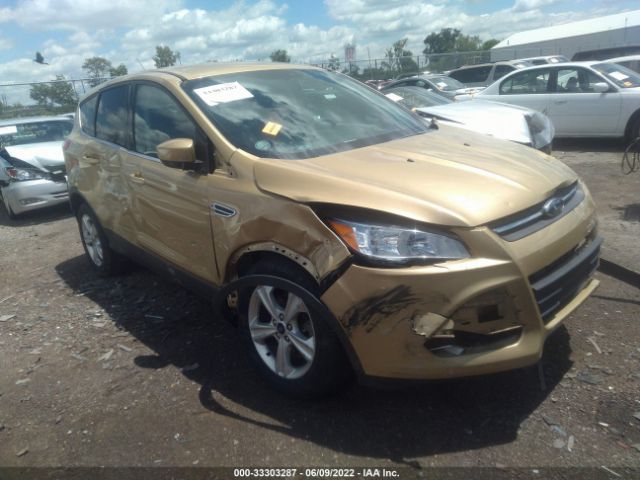 Photo 0 VIN: 1FMCU0G93EUC28981 - FORD ESCAPE 