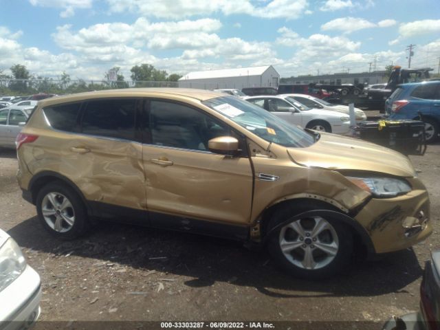 Photo 5 VIN: 1FMCU0G93EUC28981 - FORD ESCAPE 