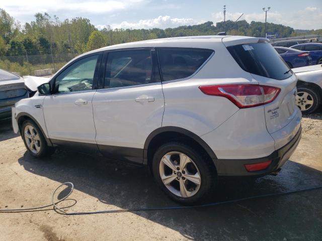 Photo 1 VIN: 1FMCU0G93EUD52099 - FORD ESCAPE SE 