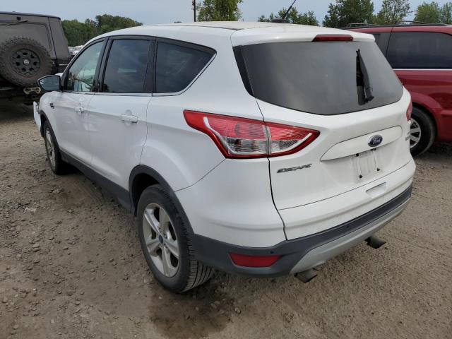 Photo 2 VIN: 1FMCU0G93EUD52278 - FORD ESCAPE SE 