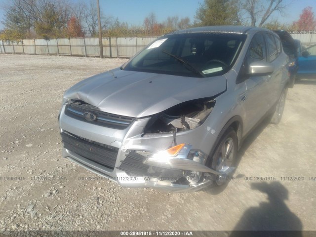 Photo 5 VIN: 1FMCU0G94DUA49606 - FORD ESCAPE 