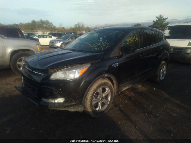 Photo 1 VIN: 1FMCU0G94DUC02954 - FORD ESCAPE 