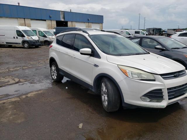 Photo 3 VIN: 1FMCU0G94DUC46436 - FORD ESCAPE SE 