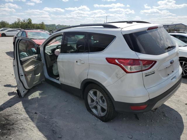 Photo 1 VIN: 1FMCU0G94EUA10788 - FORD ESCAPE 