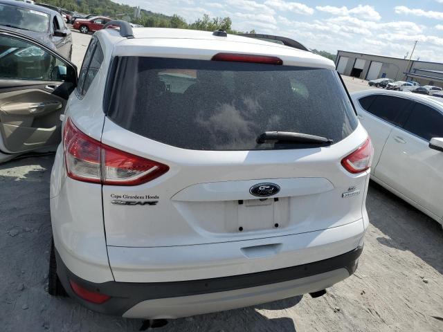 Photo 5 VIN: 1FMCU0G94EUA10788 - FORD ESCAPE 