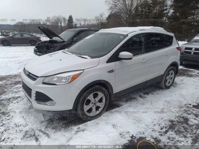 Photo 1 VIN: 1FMCU0G94EUB04380 - FORD ESCAPE 