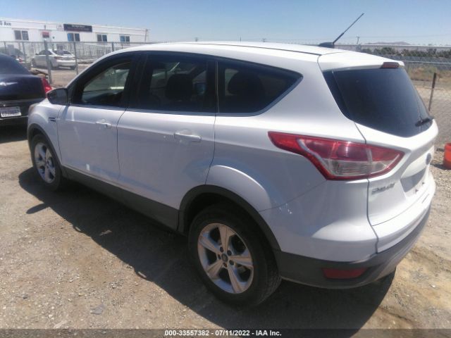 Photo 2 VIN: 1FMCU0G94EUB33295 - FORD ESCAPE 