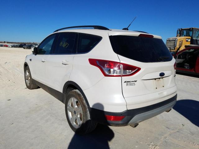 Photo 2 VIN: 1FMCU0G94EUB84683 - FORD ESCAPE 