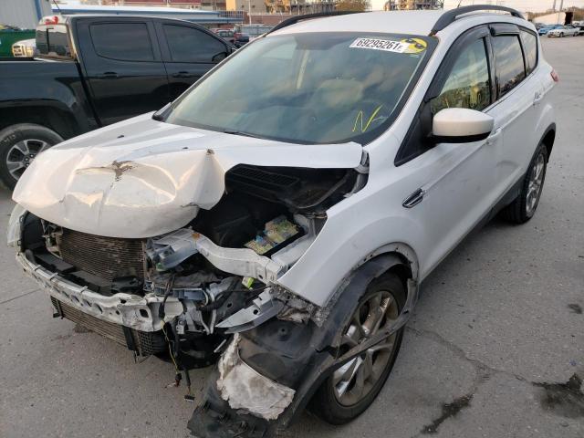 Photo 1 VIN: 1FMCU0G94EUC42081 - FORD ESCAPE SE 