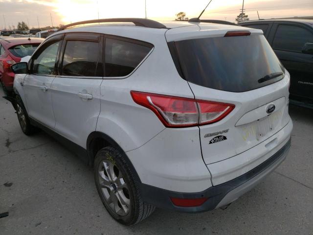 Photo 2 VIN: 1FMCU0G94EUC42081 - FORD ESCAPE SE 