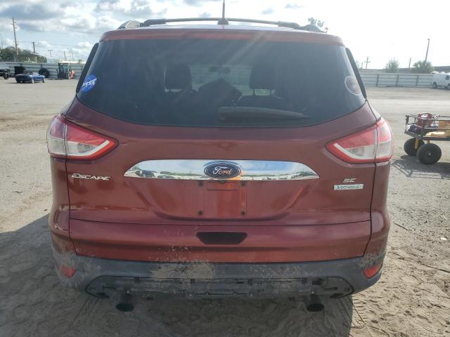 Photo 5 VIN: 1FMCU0G94EUC65070 - FORD ESCAPE 