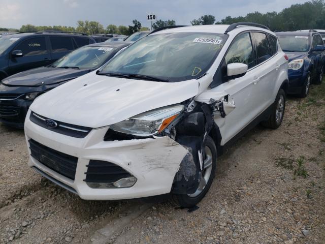 Photo 1 VIN: 1FMCU0G94EUD43802 - FORD ESCAPE SE 