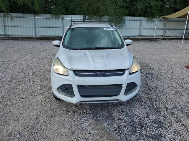 Photo 4 VIN: 1FMCU0G94EUD45503 - FORD ESCAPE 