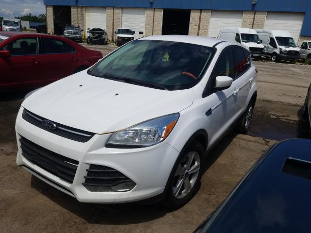 Photo 1 VIN: 1FMCU0G94EUD45596 - FORD ESCAPE SE 