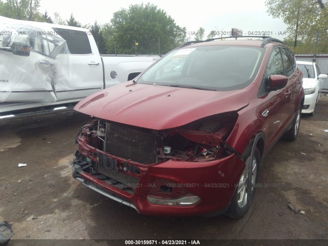 Photo 5 VIN: 1FMCU0G95DUC05880 - FORD ESCAPE 