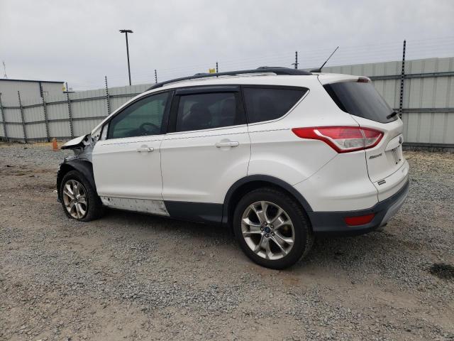 Photo 1 VIN: 1FMCU0G95EUA43234 - FORD ESCAPE 