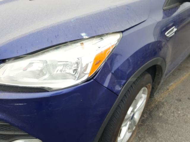 Photo 8 VIN: 1FMCU0G95EUB02038 - FORD ESCAPE SE 