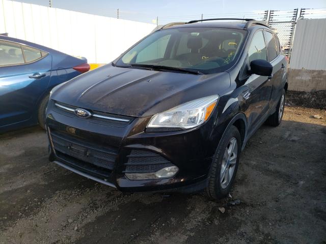 Photo 1 VIN: 1FMCU0G96DUB53577 - FORD ESCAPE 