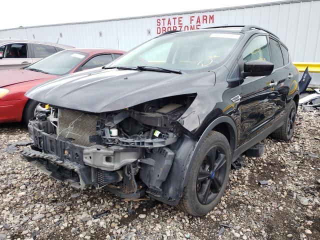 Photo 1 VIN: 1FMCU0G96DUD36641 - FORD ESCAPE 