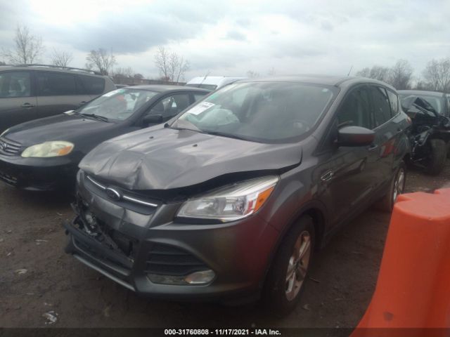 Photo 1 VIN: 1FMCU0G96EUD70581 - FORD ESCAPE 