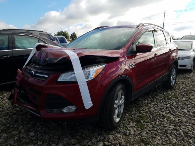 Photo 1 VIN: 1FMCU0G96EUD83198 - FORD ESCAPE SE 