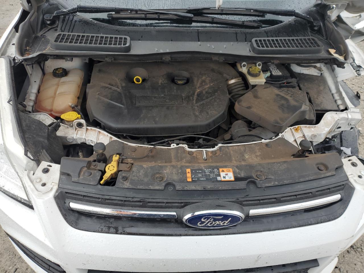 Photo 10 VIN: 1FMCU0G96FUA43518 - FORD ESCAPE 