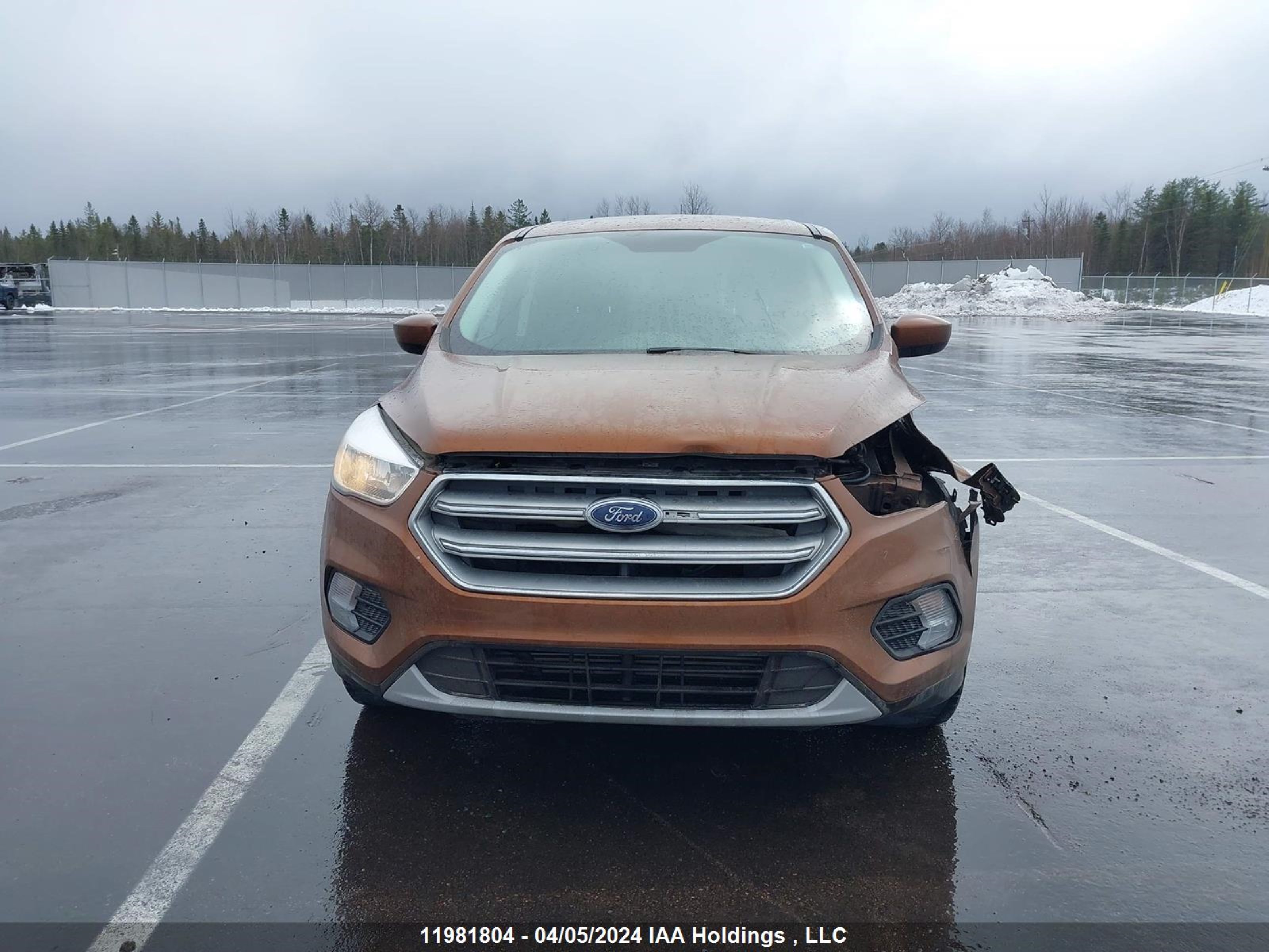 Photo 11 VIN: 1FMCU0G96HUD13589 - FORD ESCAPE 