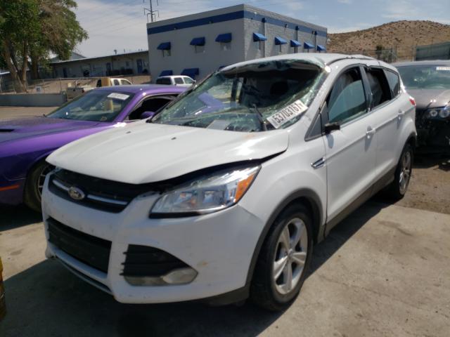 Photo 1 VIN: 1FMCU0G97DUA41774 - FORD ESCAPE SE 