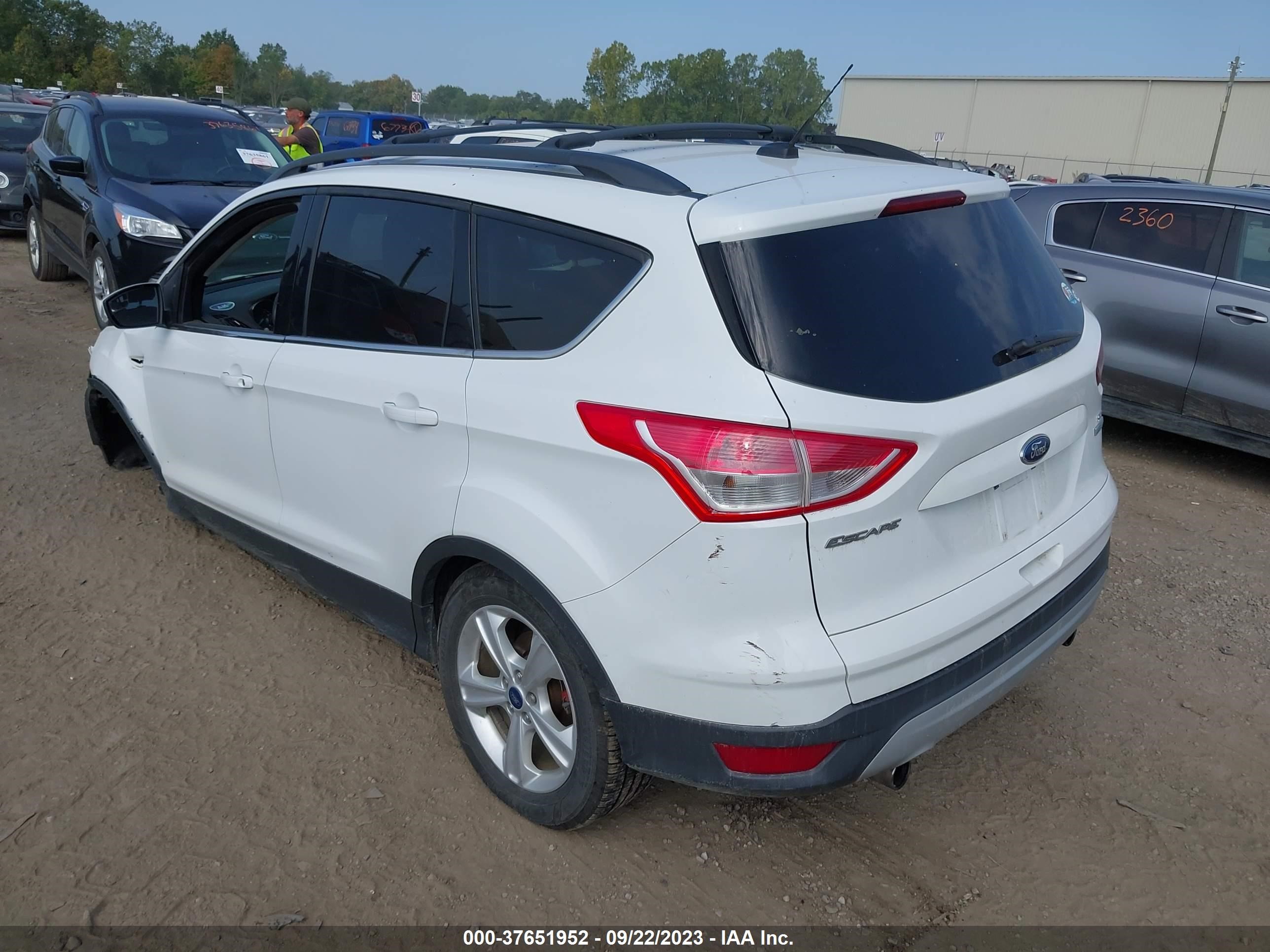 Photo 2 VIN: 1FMCU0G97DUA58669 - FORD ESCAPE 