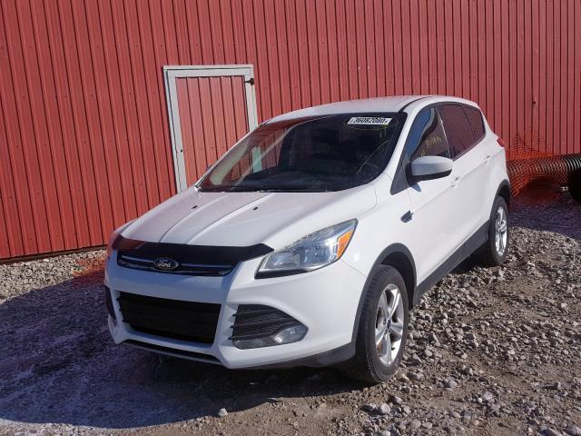 Photo 1 VIN: 1FMCU0G97DUB86832 - FORD ESCAPE SE 