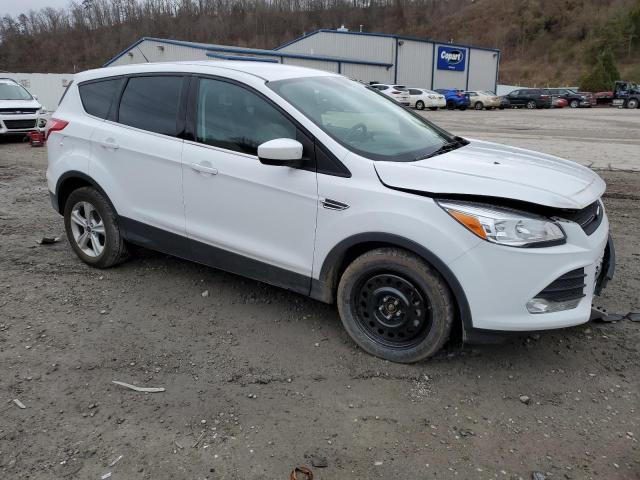 Photo 3 VIN: 1FMCU0G97EUA68409 - FORD ESCAPE 