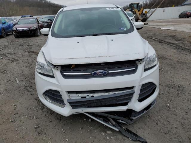 Photo 4 VIN: 1FMCU0G97EUA68409 - FORD ESCAPE 